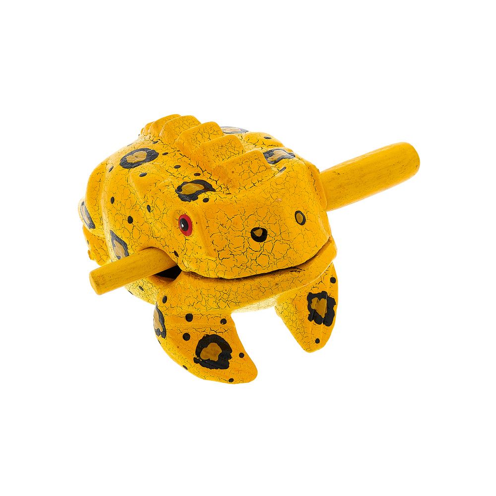 Thomann Frog M Percussion Frog Paint – Thomann Ireland