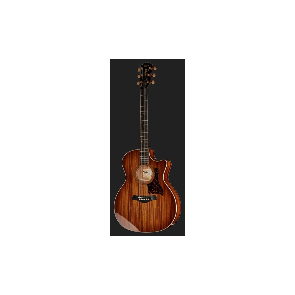 Taylor C24ce Grand Auditorium Custom – Thomann Ireland