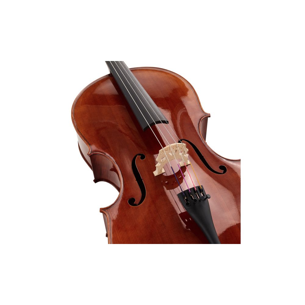 Gewa Maestro 31 Cello 7/8 – Thomann Ireland