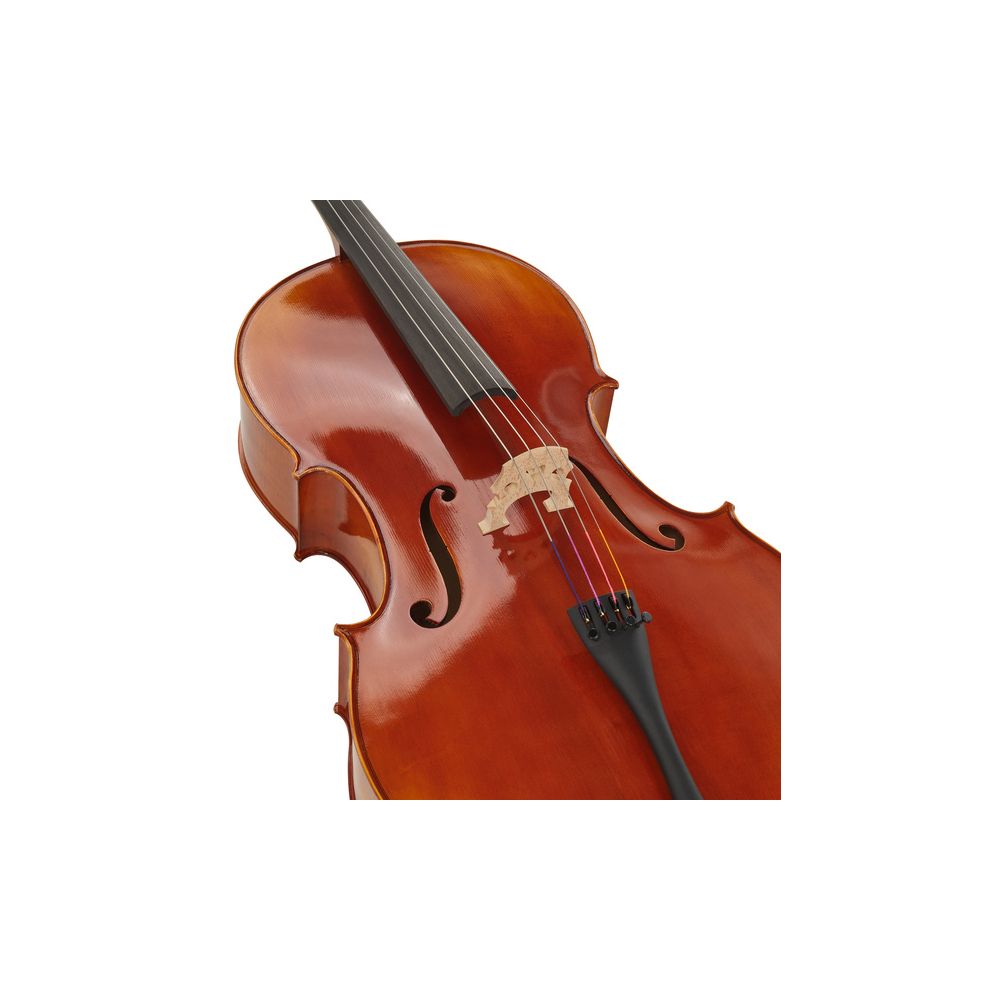 Gewa Maestro 1 Cello 4/4 – Thomann Ireland