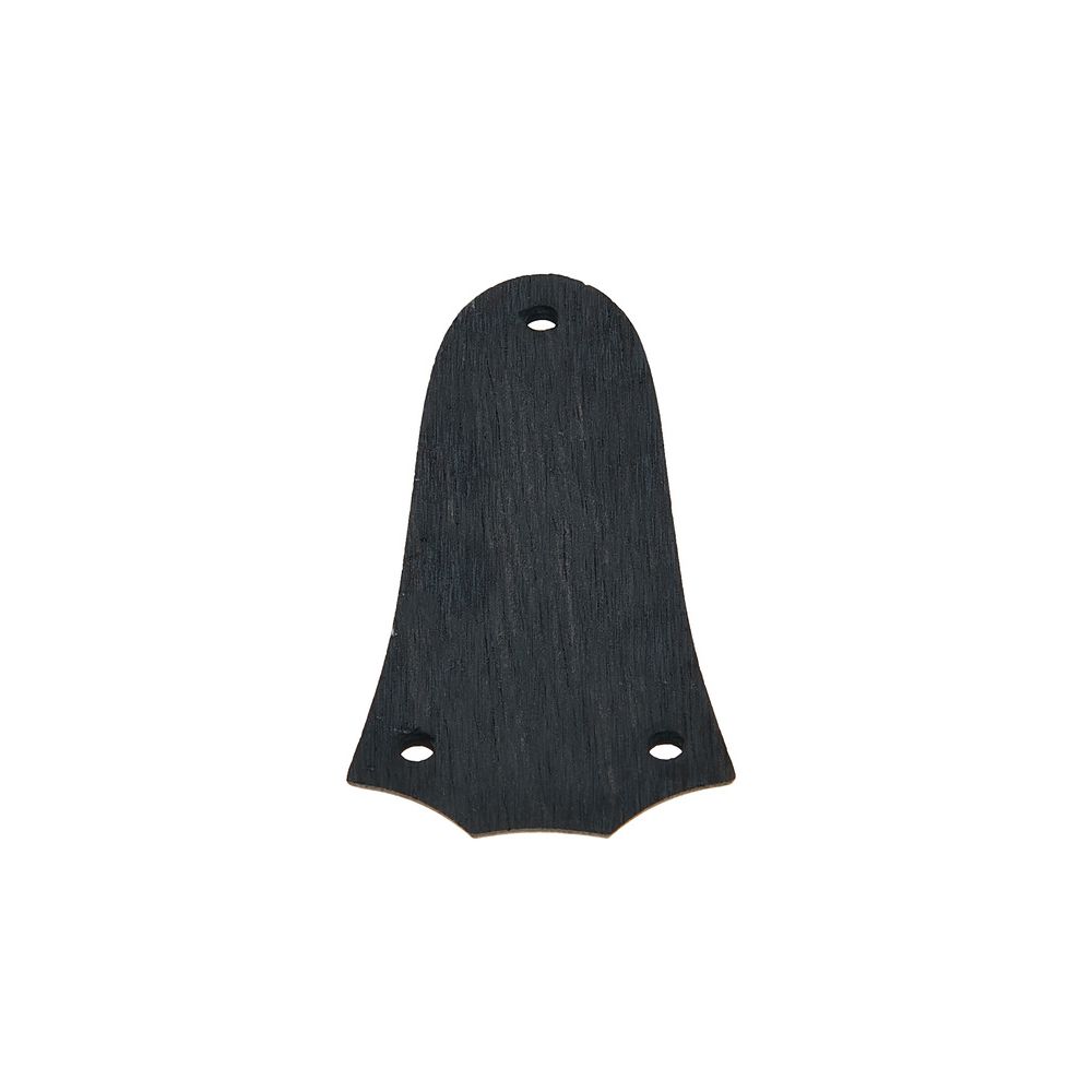 Taylor Truss Rod Cover Ebony – Thomann Ireland