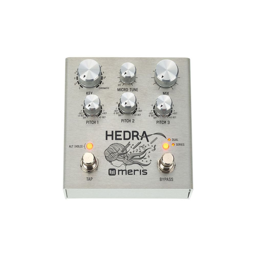 Meris Hedra Pitch