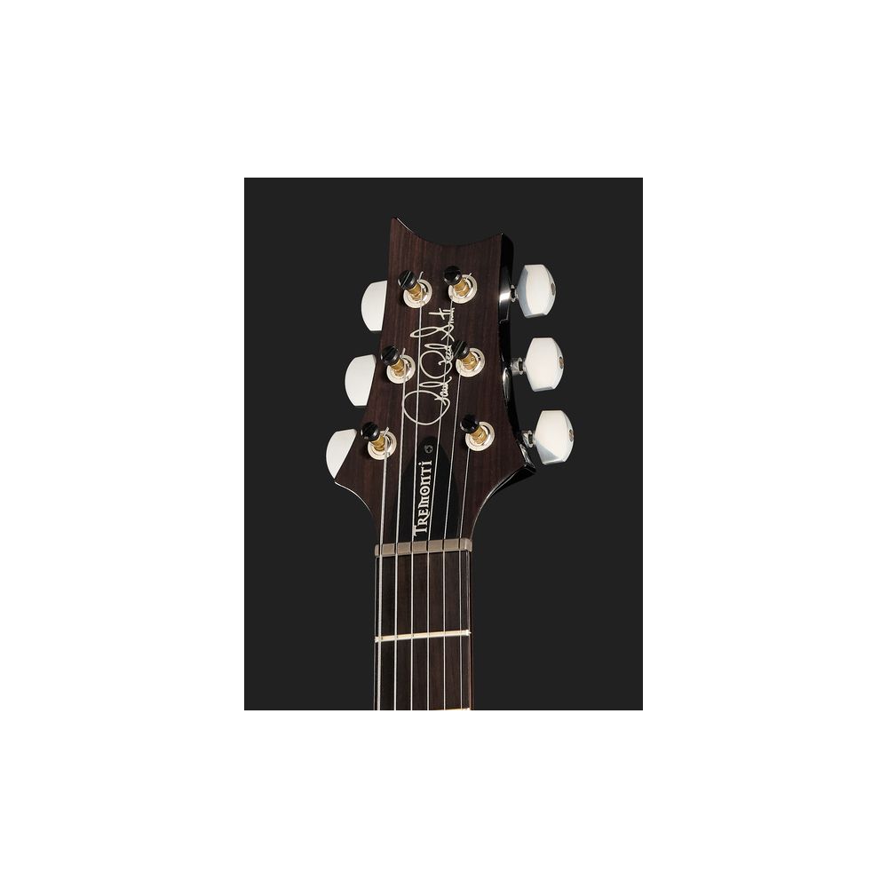 PRS Mark Tremonti Cobalt SB 2024 – Thomann Ireland