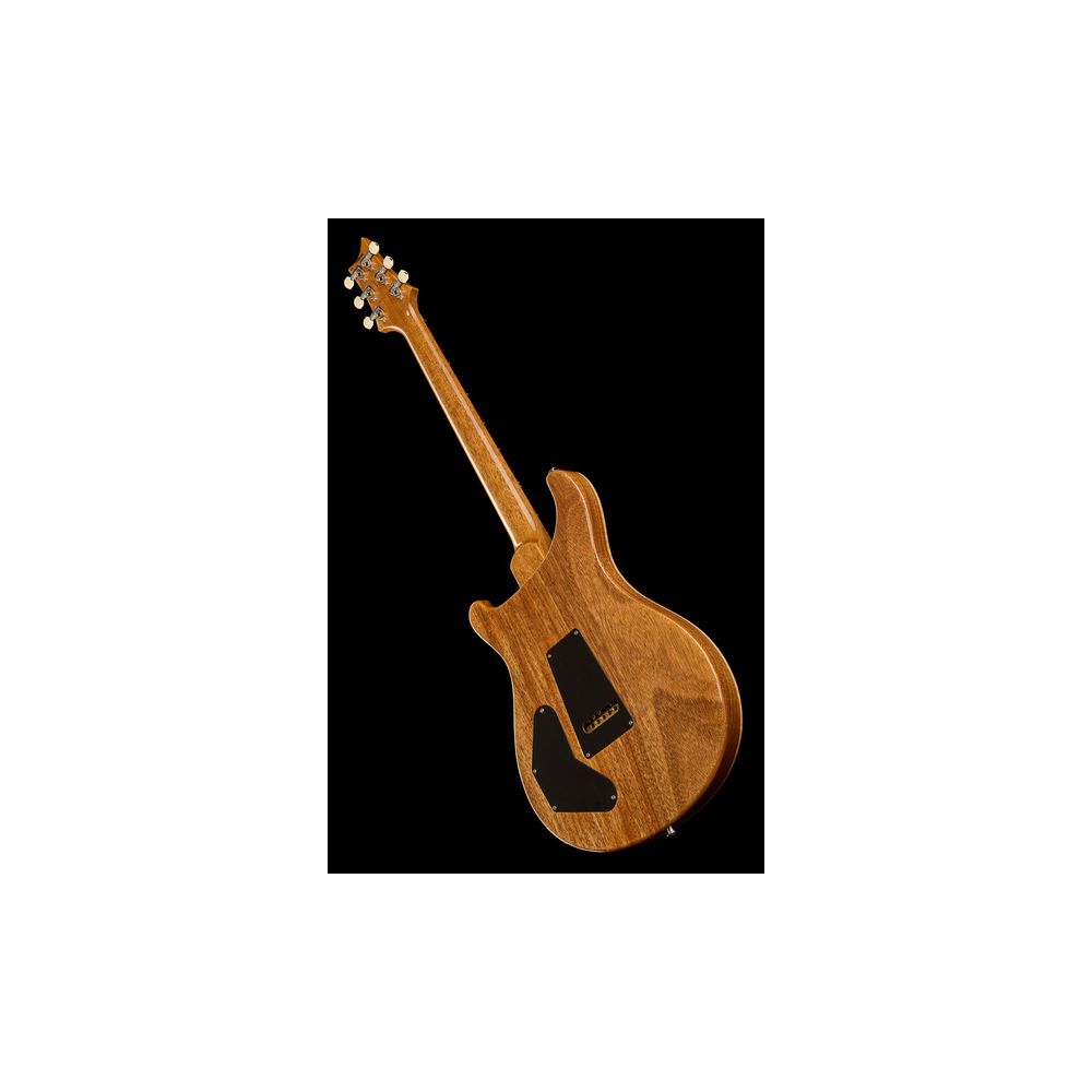 PRS DGT Birds Charcoal '24 – Thomann Ireland