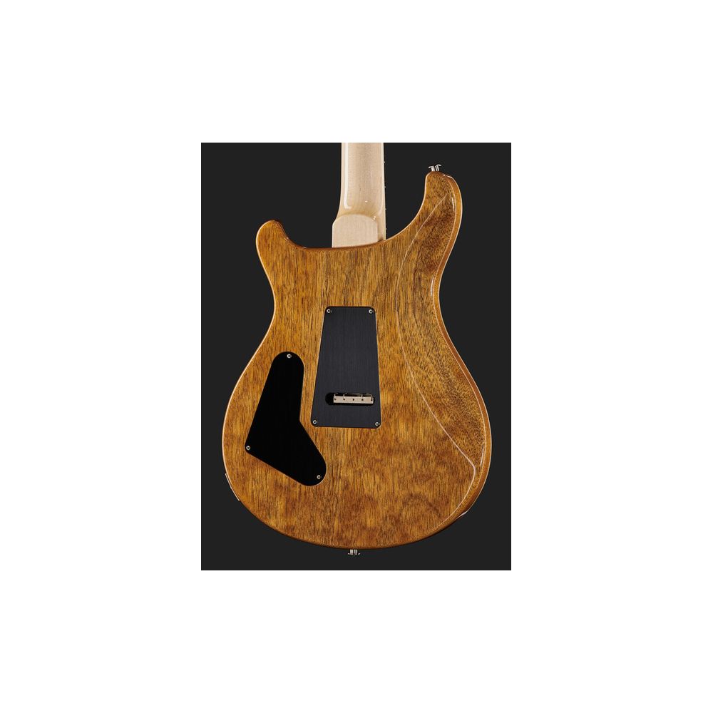 PRS Custom 24 Floyd CH – Thomann Ireland