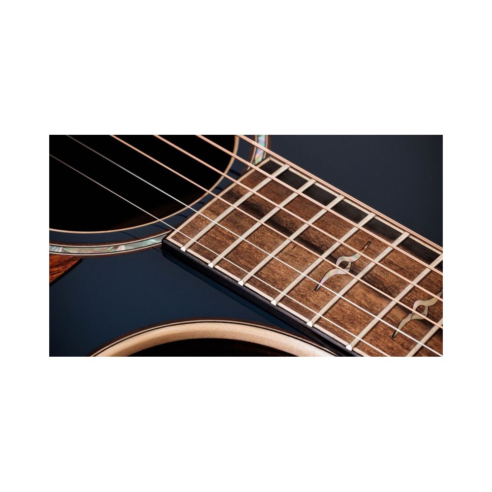 Taylor 814ce Special Edition Sapphire – Thomann Ireland