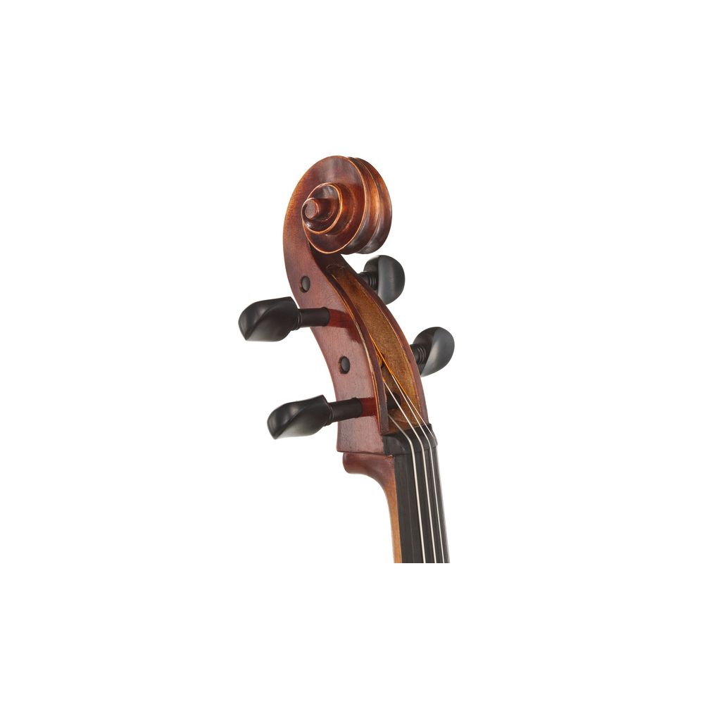 Gewa Maestro 2 Cello 4/4 – Thomann Ireland