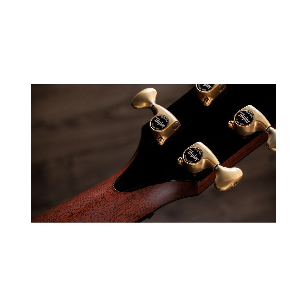 Taylor PS14ce Figured Urban Ironback – Thomann Ireland
