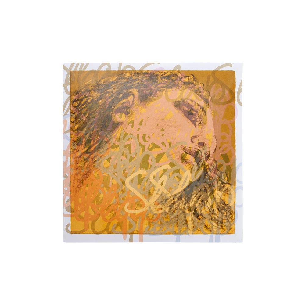 Pirastro Evah Pirazzi Slap G String Gut – Thomann Ireland