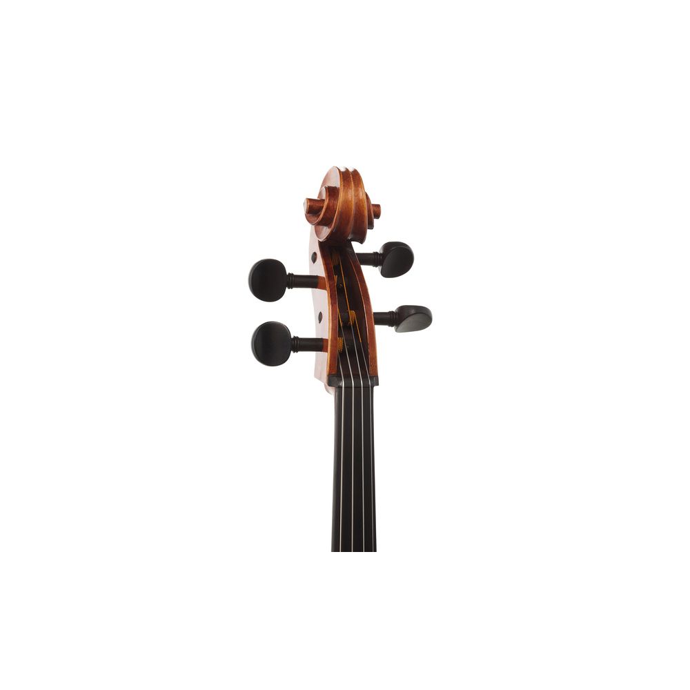 Gewa Maestro 31 Cello 4/4 – Thomann Ireland