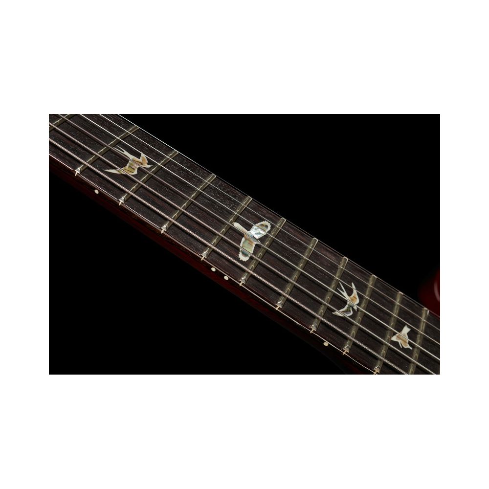 PRS DGT Birds DS – Thomann Ireland