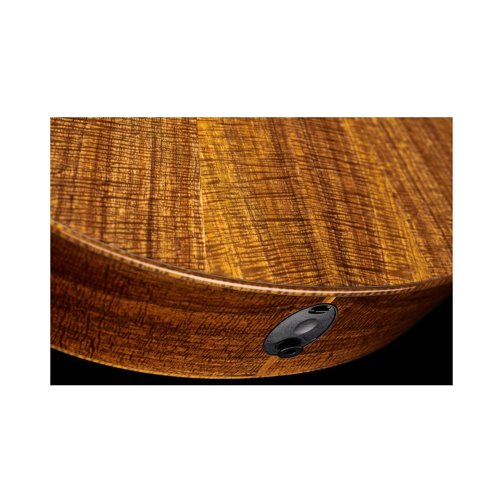 Taylor Custom #30 GS – Thomann Ireland
