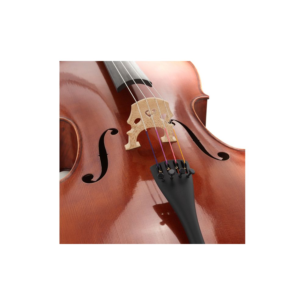 Gewa Maestro 31 Cello 4/4 – Thomann Ireland