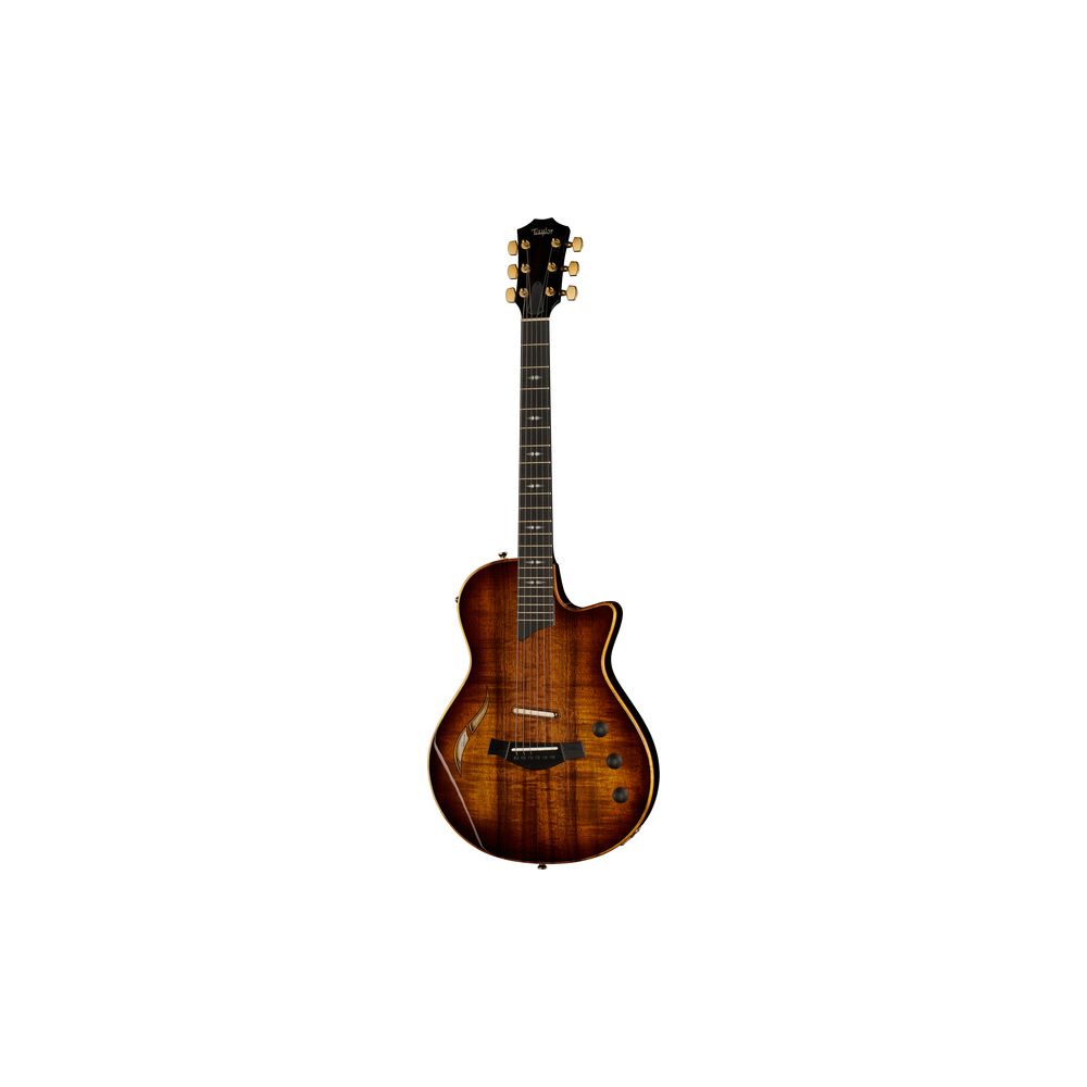 Taylor T5z Custom Koa – Thomann Ireland