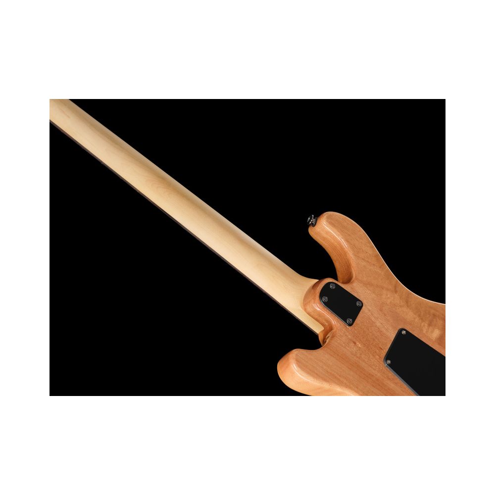 PRS SE CE 24 BR – Thomann Ireland