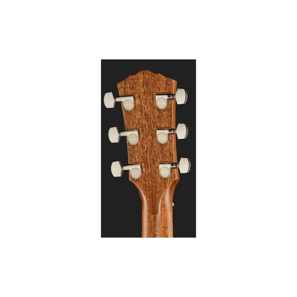 Taylor Gold Label 517e – Thomann Ireland