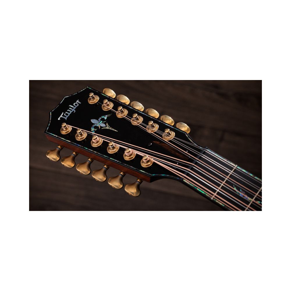 Taylor PS54ce – Thomann Ireland