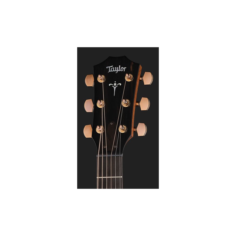 Taylor 722ce Gloss – Thomann Ireland