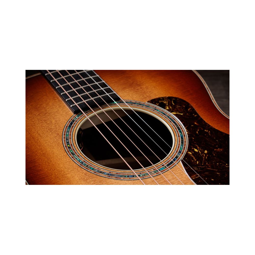 Taylor Gold Label 814e Sunburst – Thomann Ireland