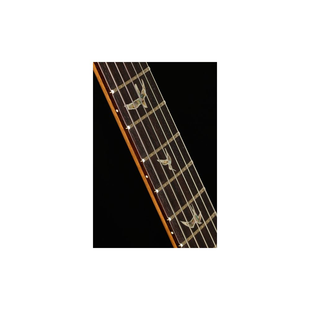 PRS DGT Birds Charcoal '24 – Thomann Ireland