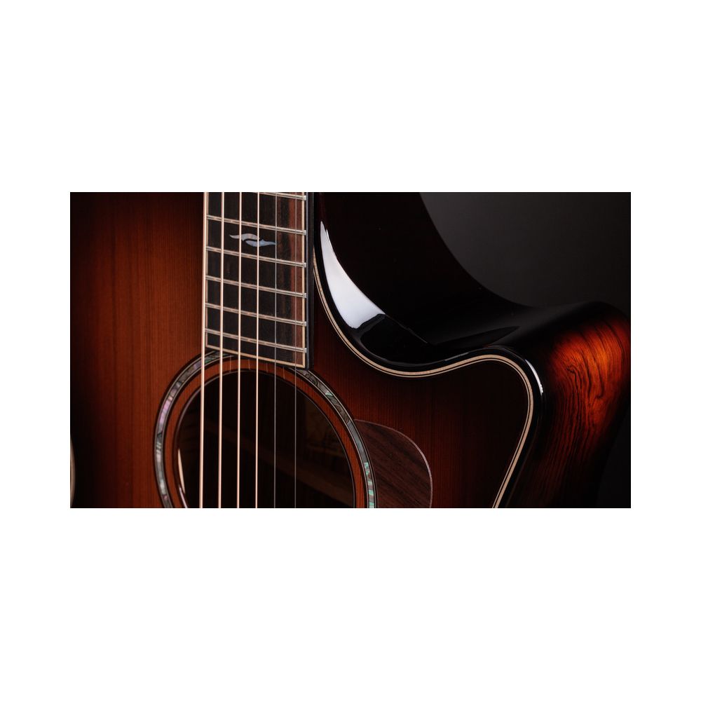 Taylor Builder’s Ed. 814ce Sinker – Thomann Ireland