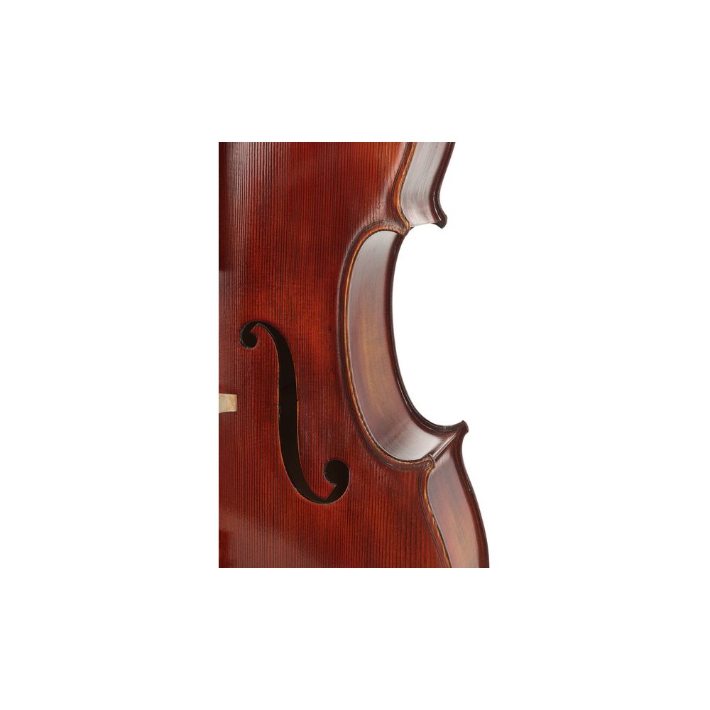 Gewa Maestro 2 Cello 4/4 – Thomann Ireland