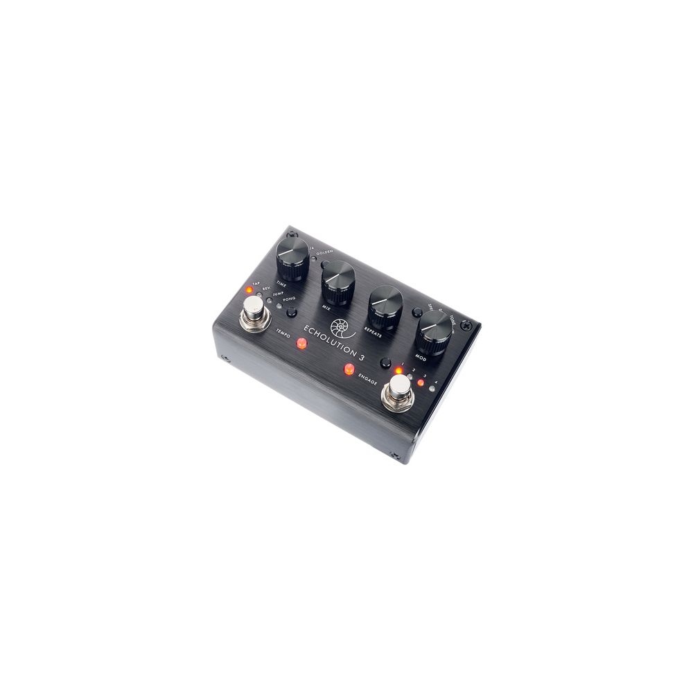 Pigtronix Echolution 3 B