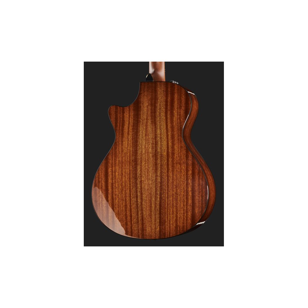 Taylor 312ce 50th Anniversary – Thomann Ireland
