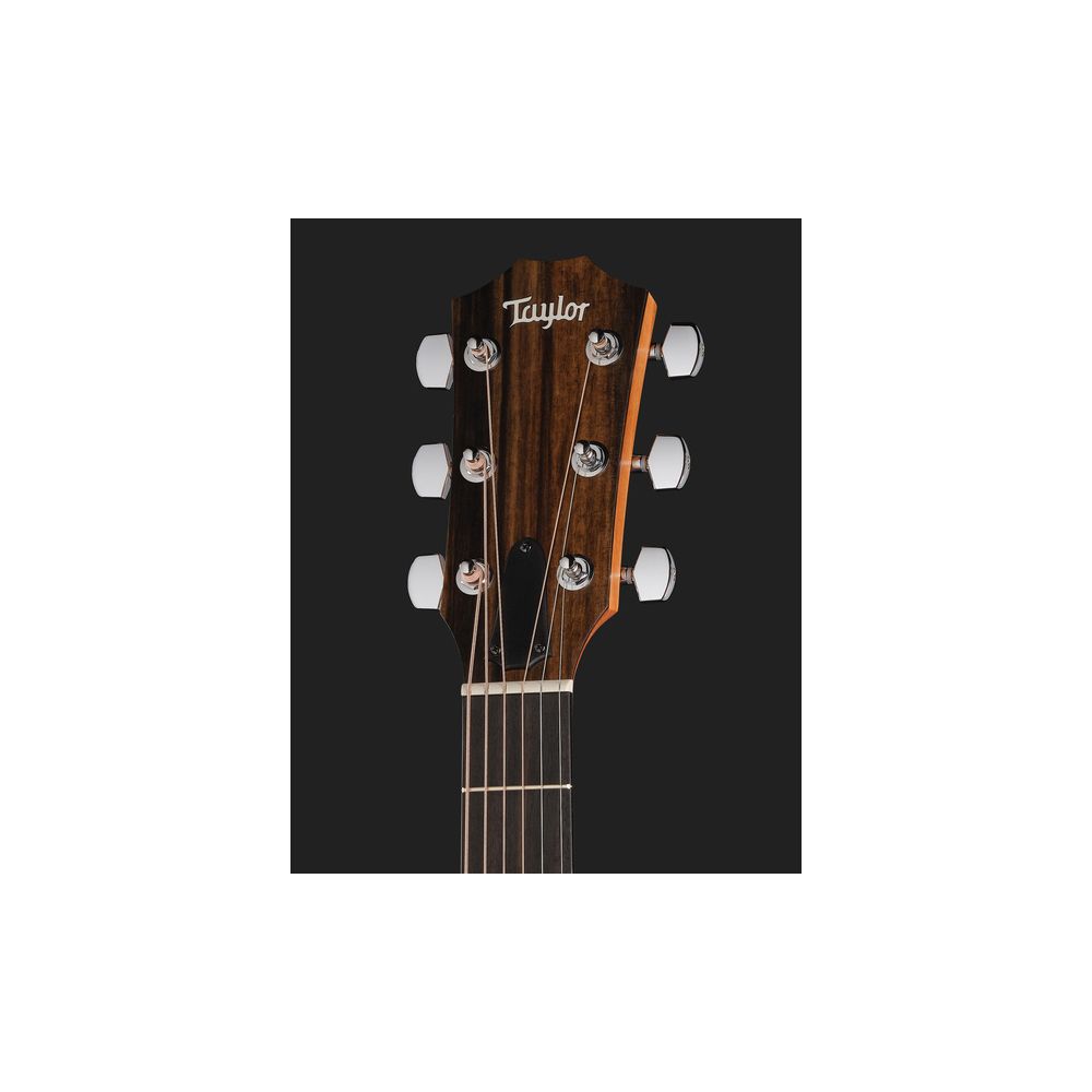 Taylor 210ce – Thomann Ireland