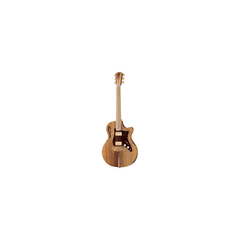 Cole Clark TL2EC