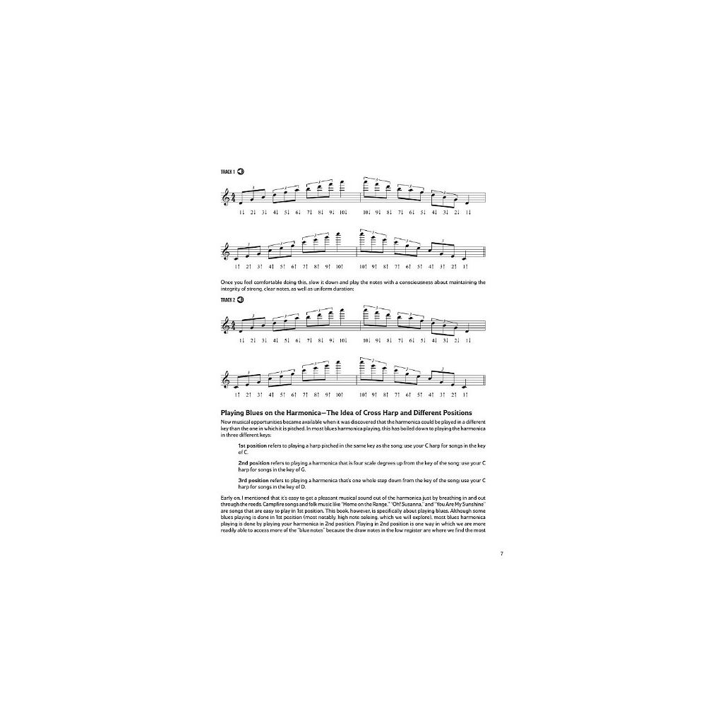 Hal Leonard Blues Harmonica Bending – Thomann Ireland