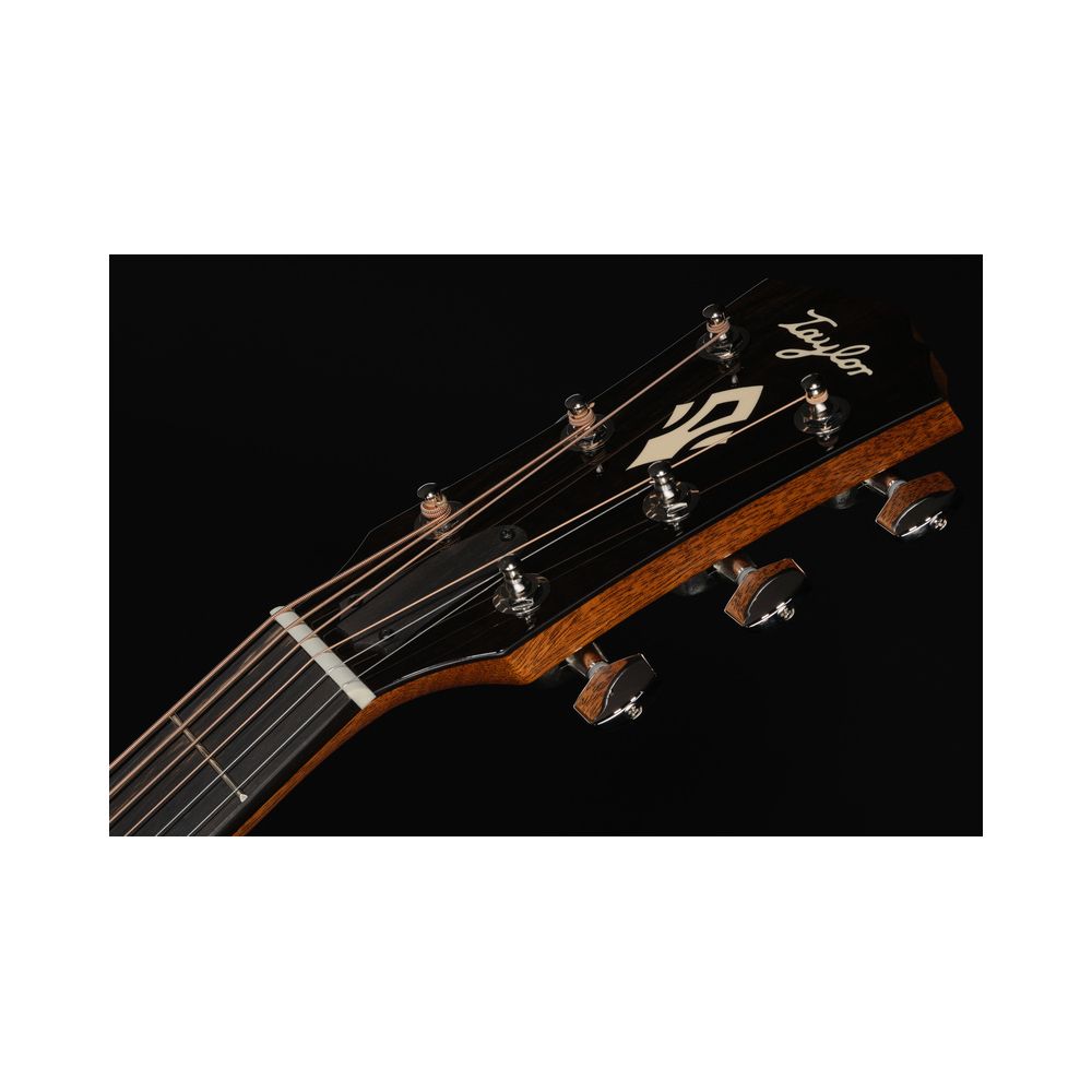 Taylor Gold Label 717e – Thomann Ireland