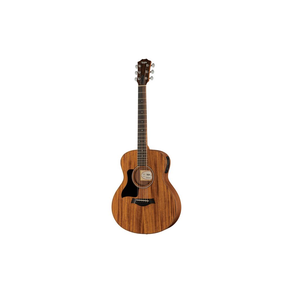 Taylor GS Mini