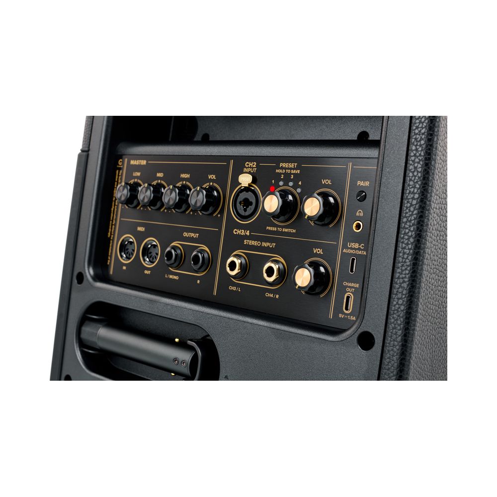 Positive Grid Spark Live w/Battery Bundle – Thomann Ireland