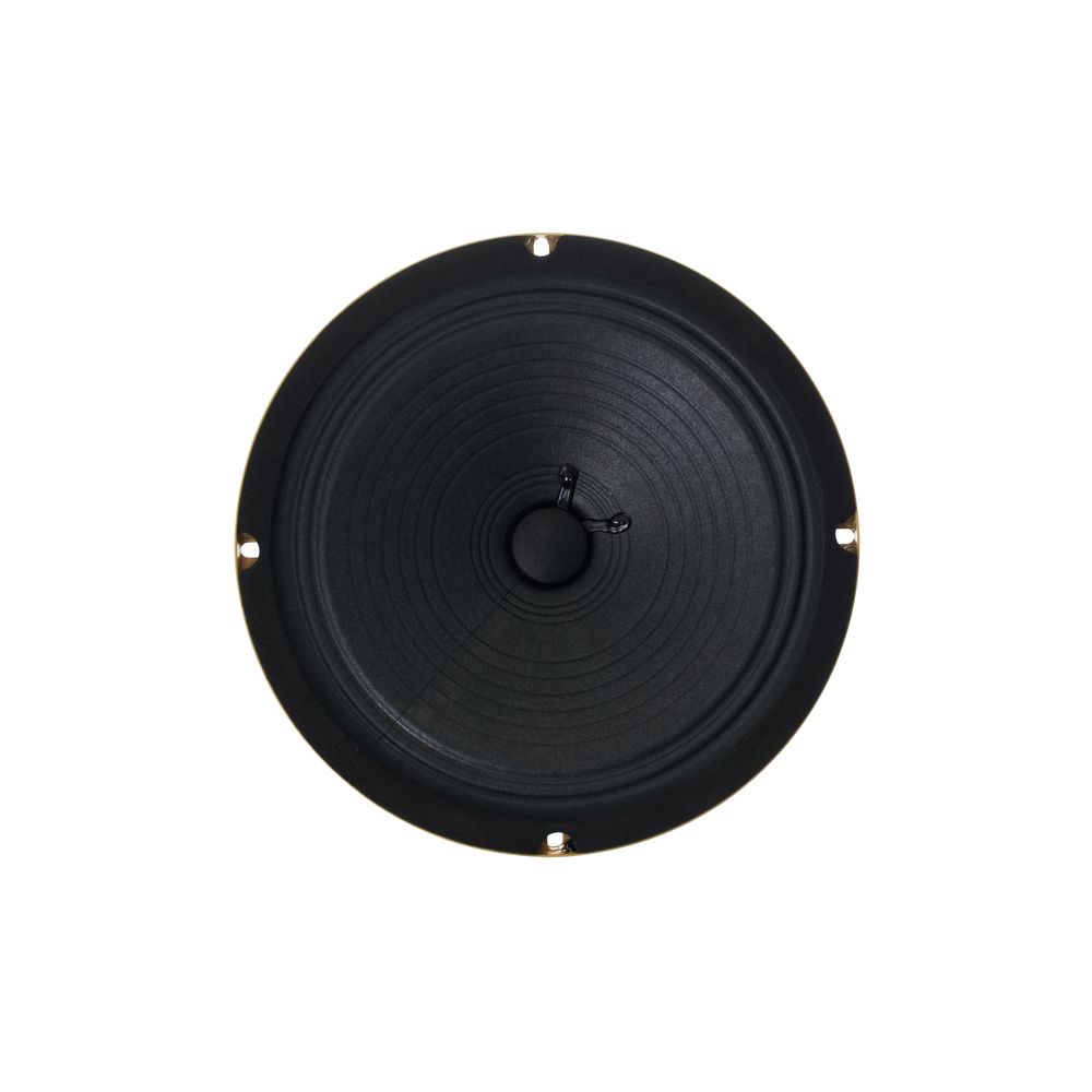 Mojotone Anthem 8" 4 Ohms Speaker – Thomann Ireland