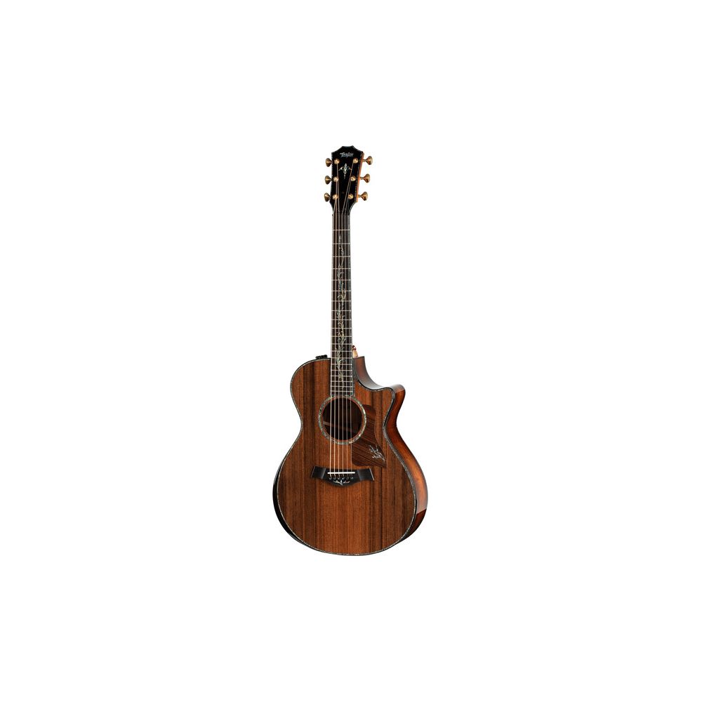 Taylor PS12ce Honduran Rosewood – Thomann Ireland