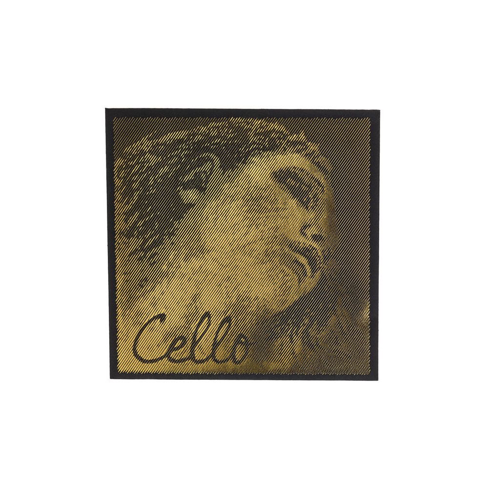 Pirastro Evah Pirazzi Gold Cello A Str. – Thomann Ireland