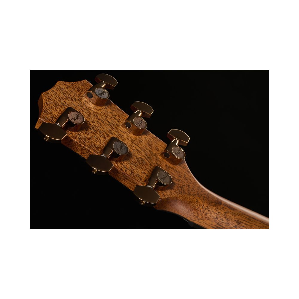 Taylor 724ce Gloss – Thomann Ireland