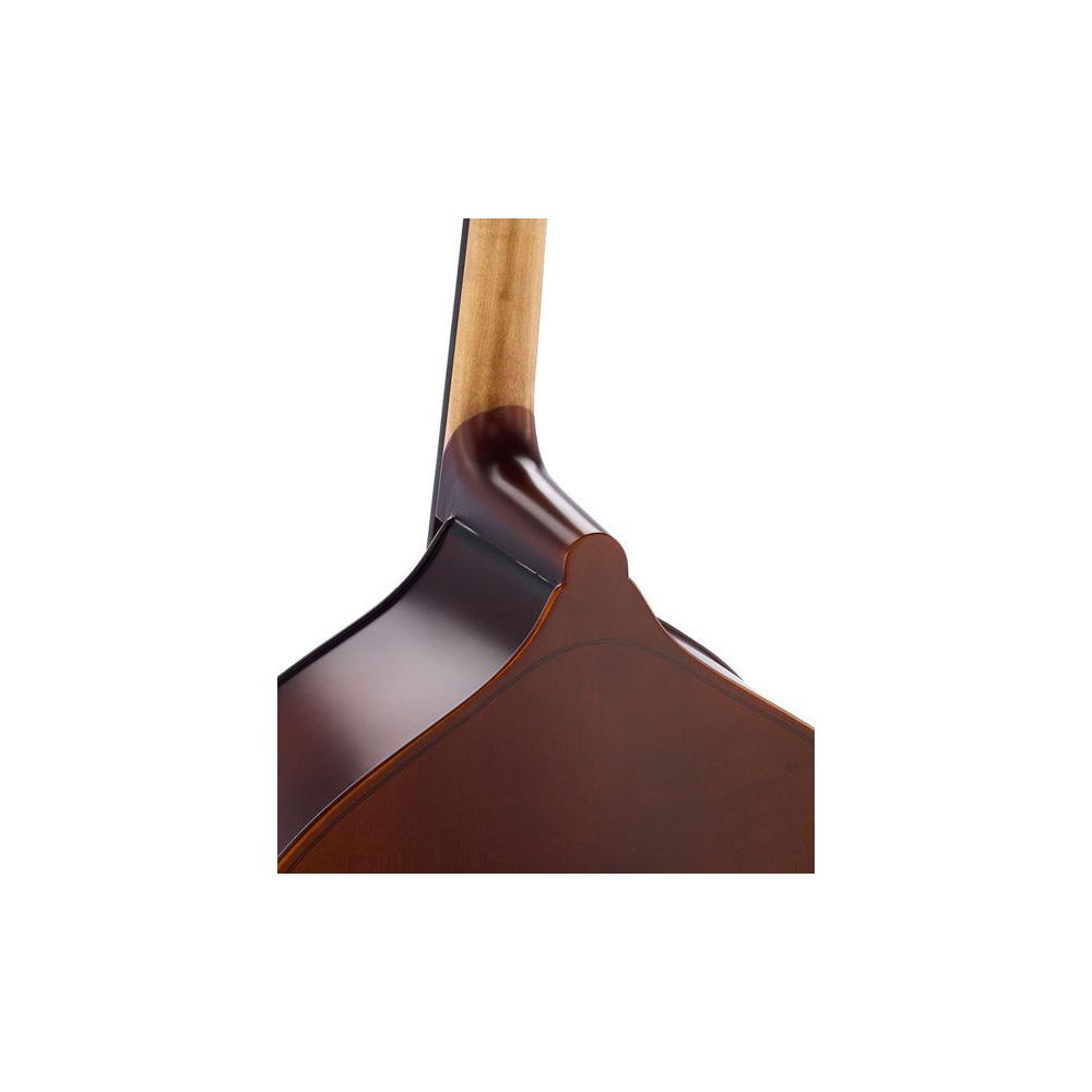 Thomann 33AS 3/4 Europe Double Bass – Thomann Ireland