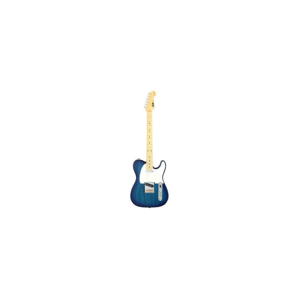 FGN Neo Classic TE100 SS S B