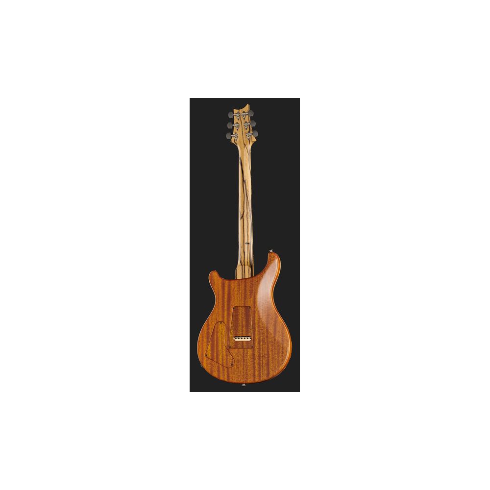 PRS Special 22 SH PS Pale Moon – Thomann Ireland