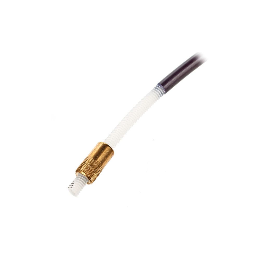 Gewa Tailgut for Cello 4/4