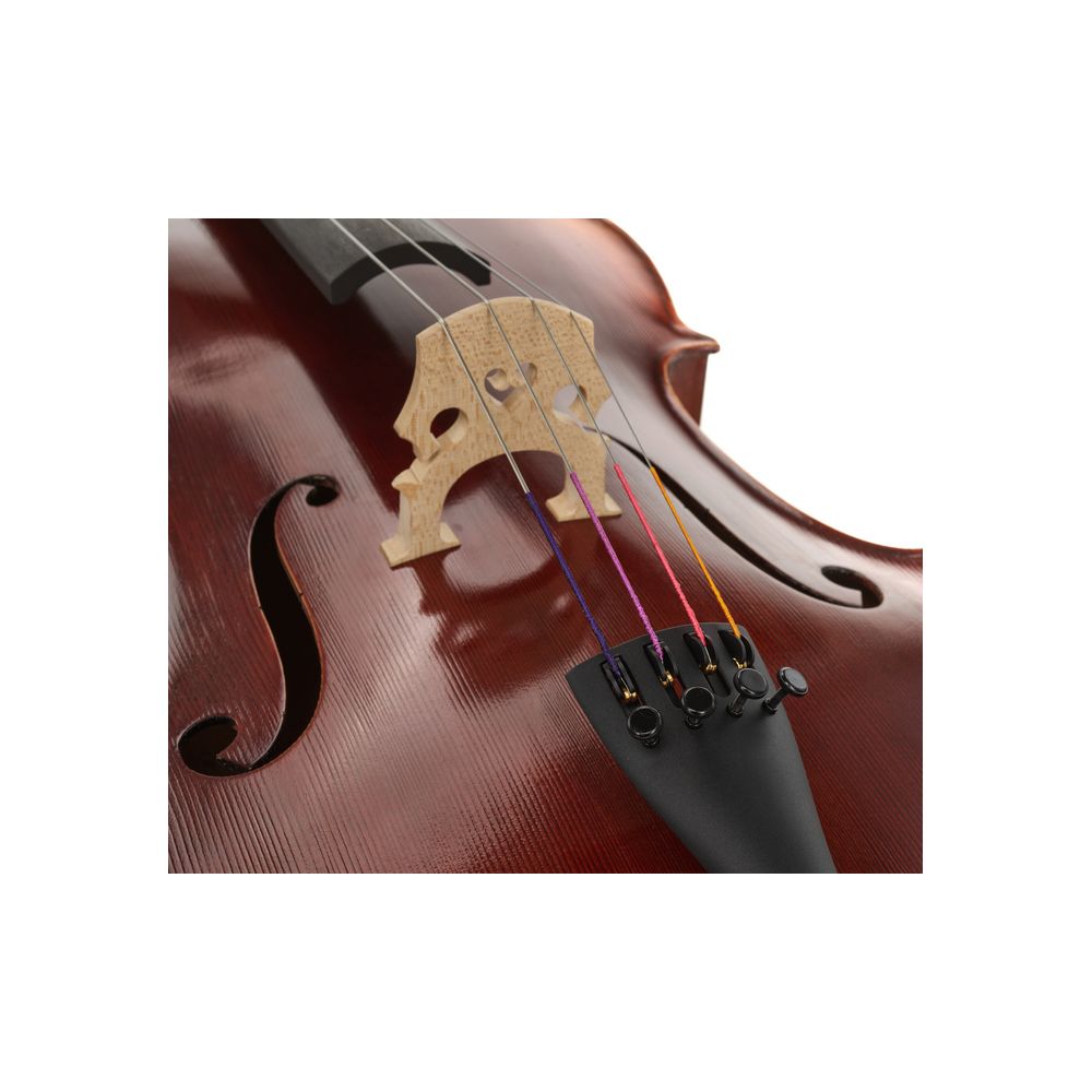 Gewa Maestro 2 Cello 4/4 – Thomann Ireland