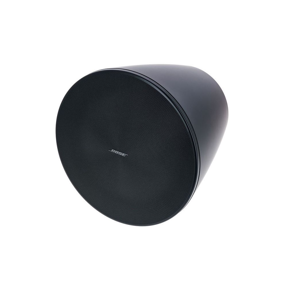 Bose Professional DesignMax DM10P