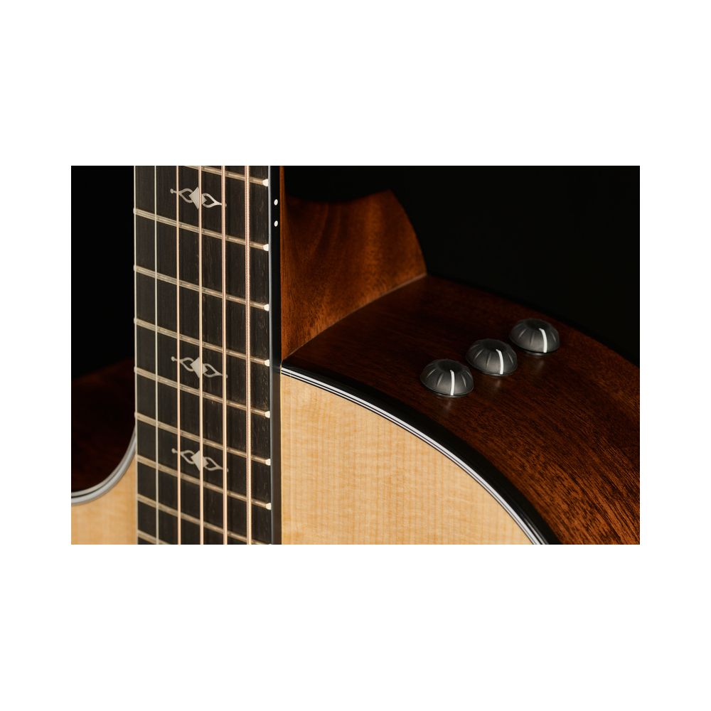 Taylor 314ce LH V