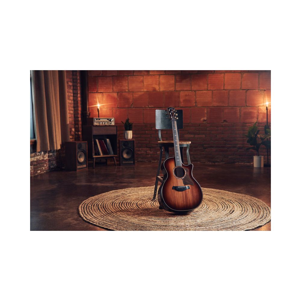 Taylor Builder’s Ed. 814ce Sinker – Thomann Ireland