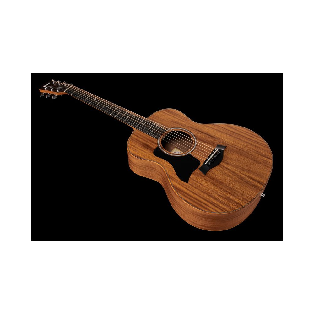 Taylor GS Mini
