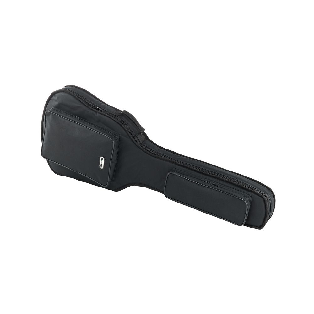 Harley Benton Aeolus Frost Flame w/Bag – Thomann Ireland