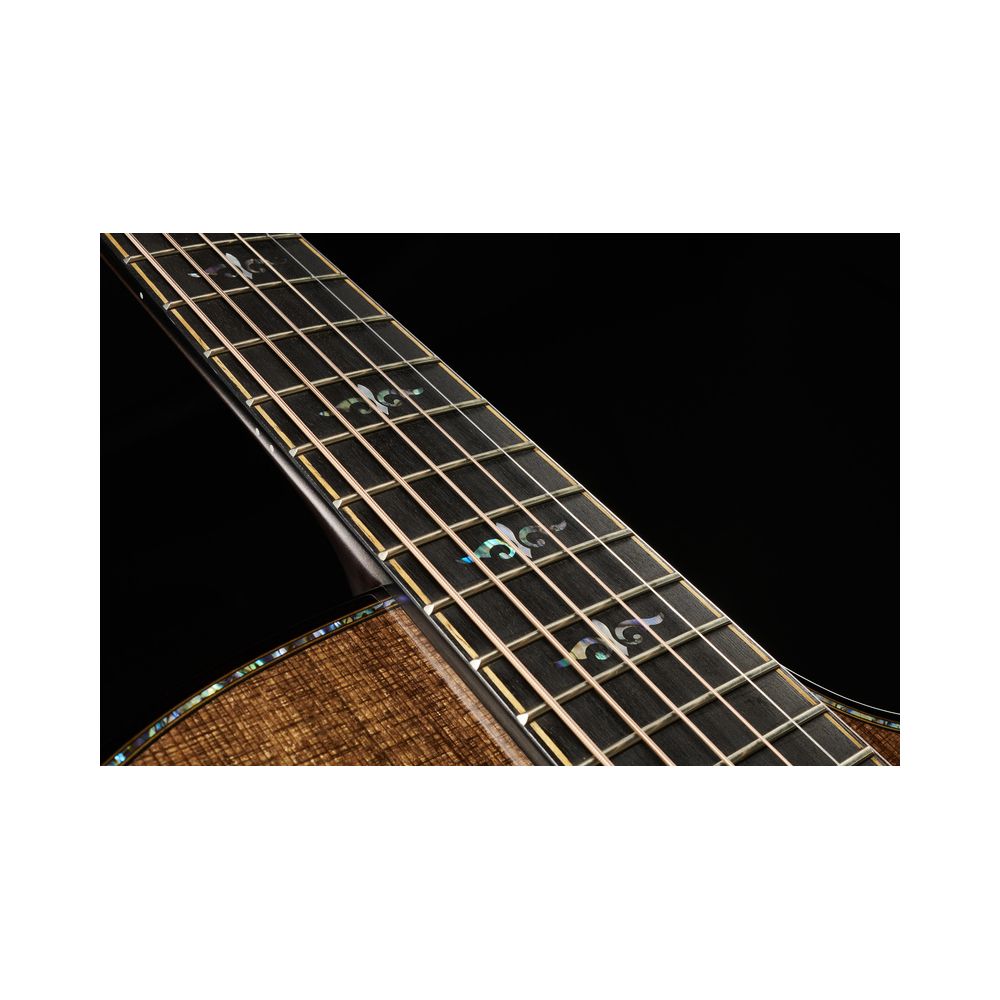 Taylor Builders Edition 912ce Sinker – Thomann Ireland