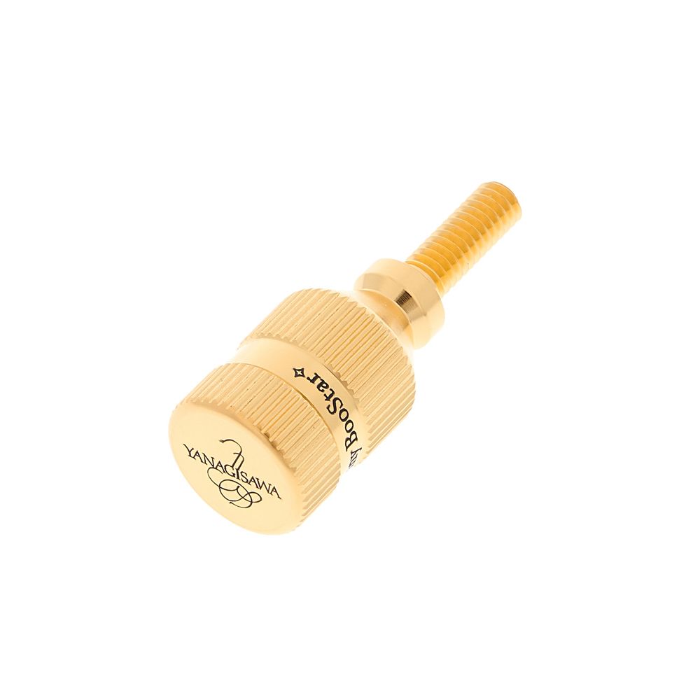 Yanagisawa YANY BooStar Yana/Selmer GP – Thomann Ireland